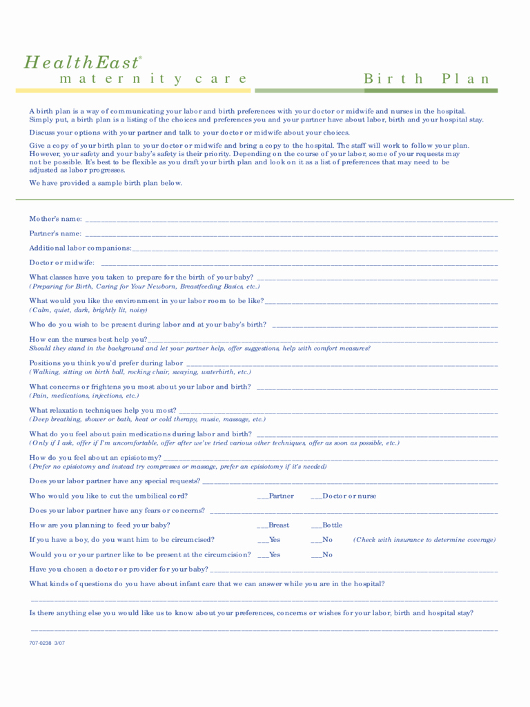 Sample Birth Plan Template Luxury Birth Plan Template 6 Free Templates In Pdf Word Excel