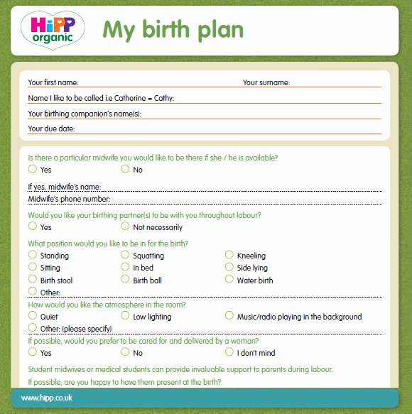 Sample Birth Plan Template Luxury Free 10 Birth Plan Templates In Free Samples Examples