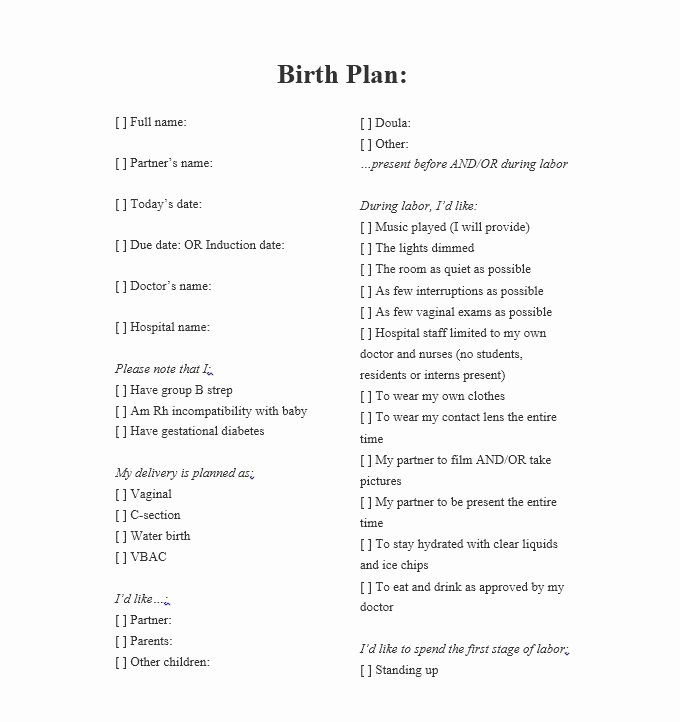 Sample Birth Plan Template New 47 Printable Birth Plan Templates [birth Plan Checklist