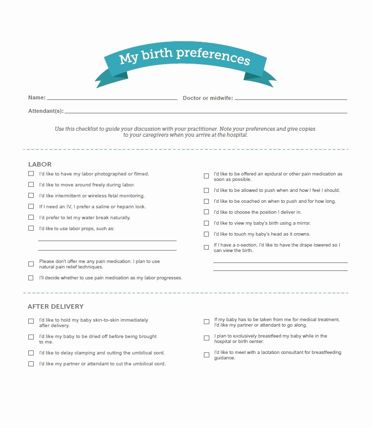 Sample Birth Plan Template New 47 Printable Birth Plan Templates [birth Plan Checklist