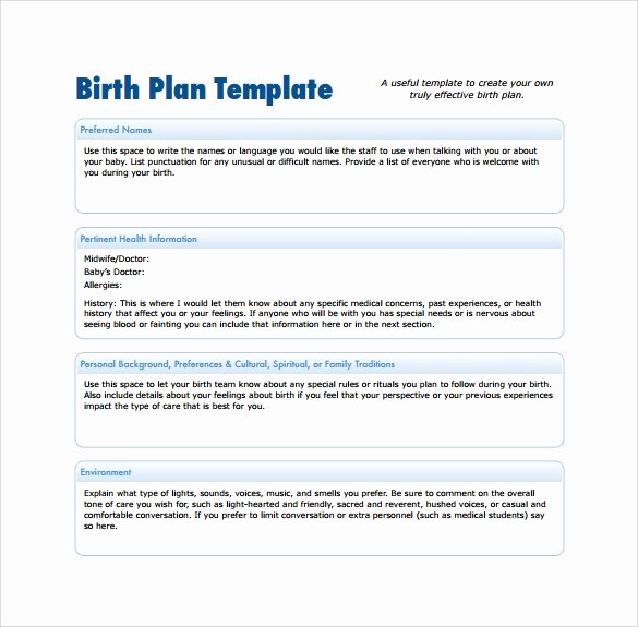 Sample Birth Plan Template New Free 23 Sample Birth Plan Templates In Pdf Word