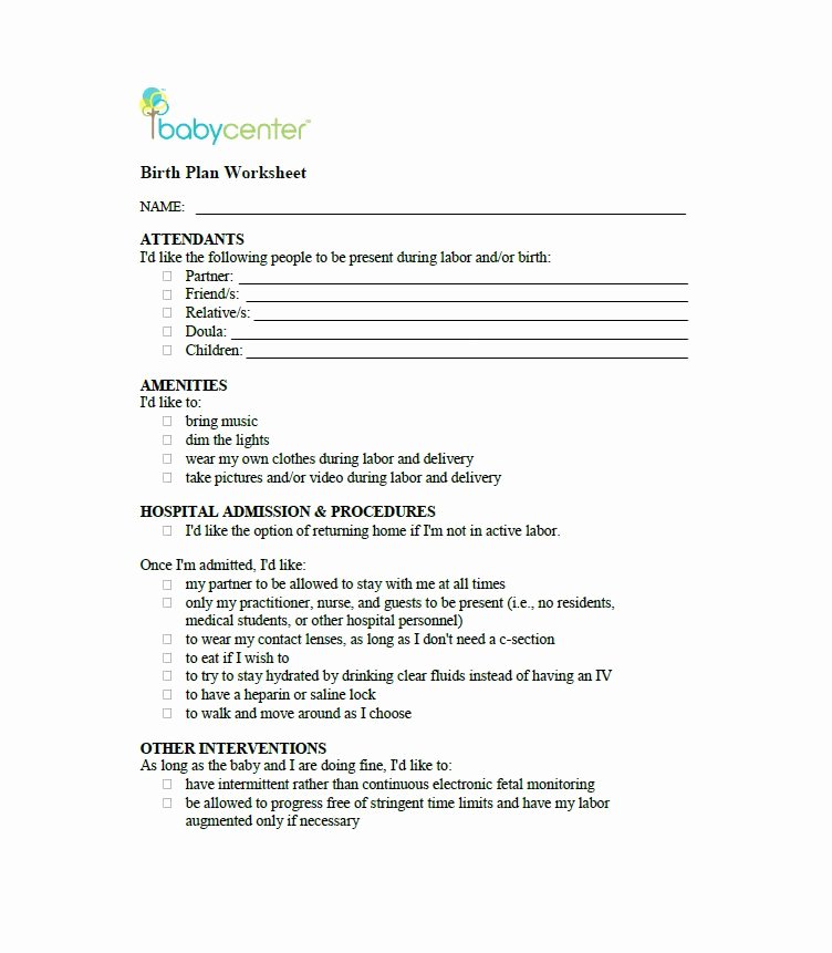 Sample Birth Plan Template Unique 47 Printable Birth Plan Templates [birth Plan Checklist