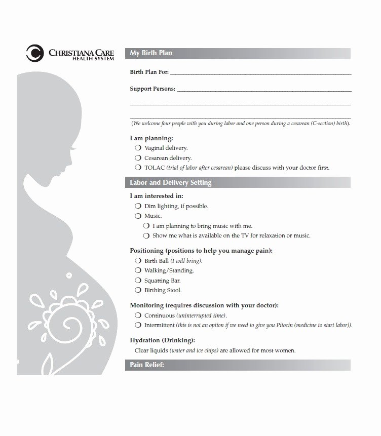 Sample Birth Plan Template Unique 47 Printable Birth Plan Templates [birth Plan Checklist