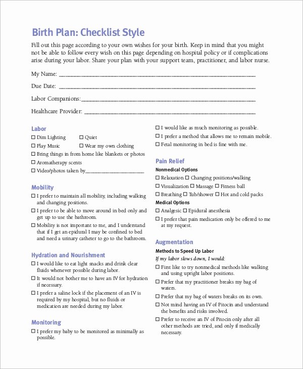 Sample Birth Plan Template Unique Birth Plan Example 11 Samples In Word Pdf