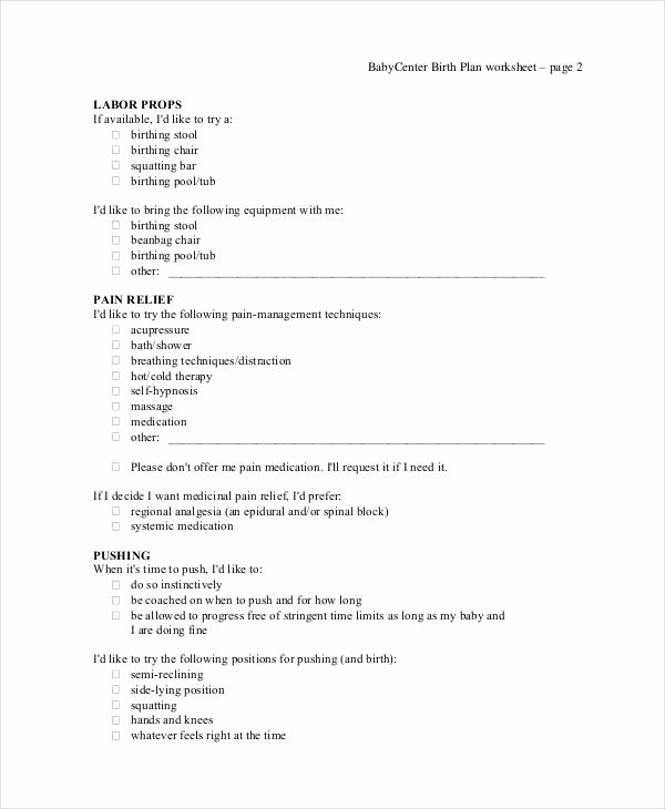 Sample Birth Plan Template Unique Birth Plan Template 17 Free Word Pdf Documents