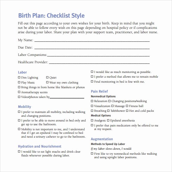 Sample Birthing Plan Template Best Of Free 23 Sample Birth Plan Templates In Pdf Word
