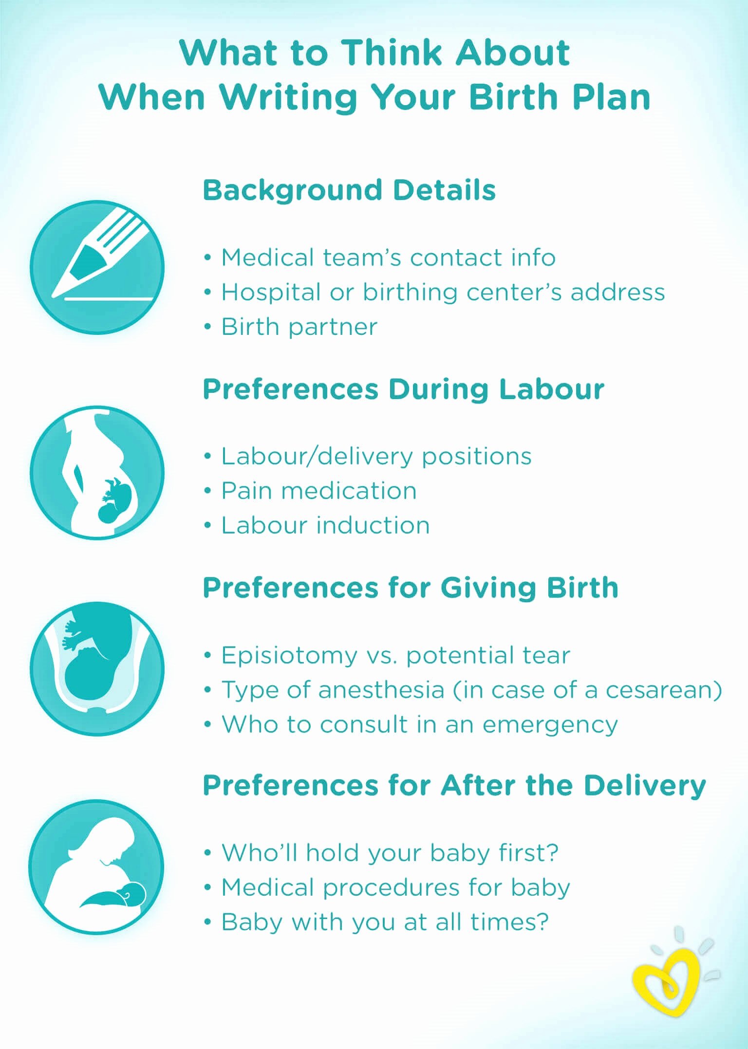Sample Birthing Plan Template Luxury How to Write A Birth Plan Tips and Advice