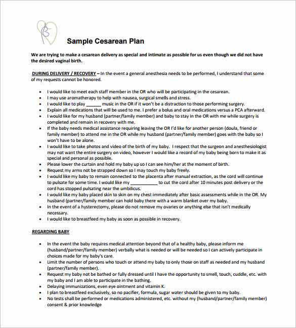 Sample Birthing Plan Template New 12 Birth Plan Templates Free Sample Example format