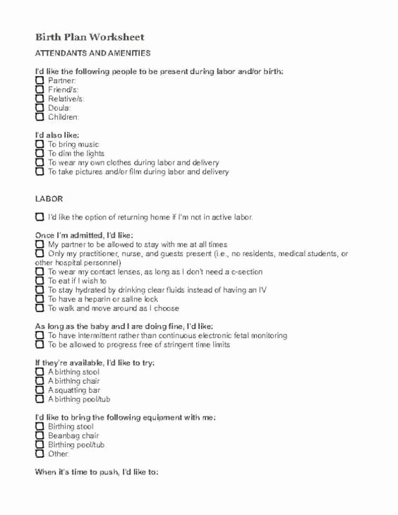 Sample Birthing Plan Template New Birth Plan Template