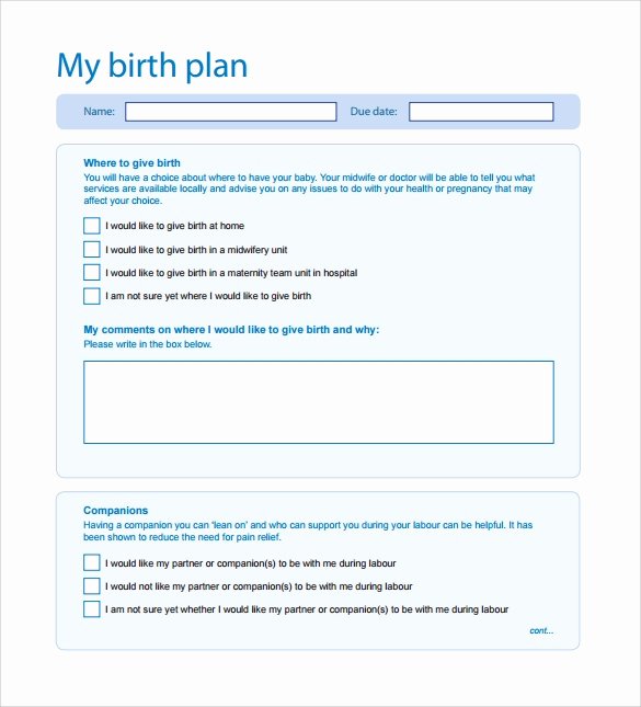 Sample Birthing Plan Template New Free 23 Sample Birth Plan Templates In Pdf Word