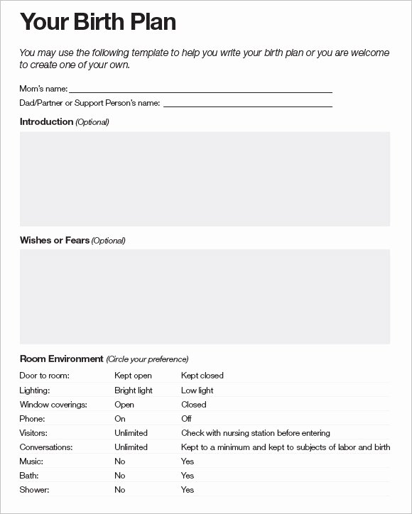 Sample Birthing Plan Template Unique Free 10 Birth Plan Templates In Free Samples Examples