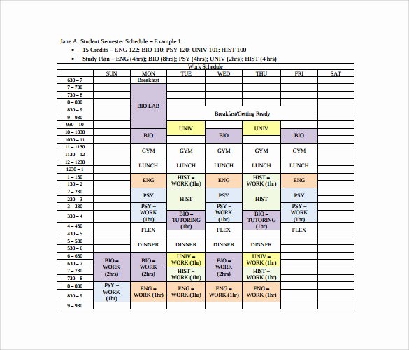 Sample Daily Schedule Template Elegant Sample Time Schedule 8 Documents In Pdf Word