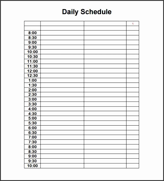 Sample Daily Schedule Template New 9 Work Daily Planner Template Sampletemplatess