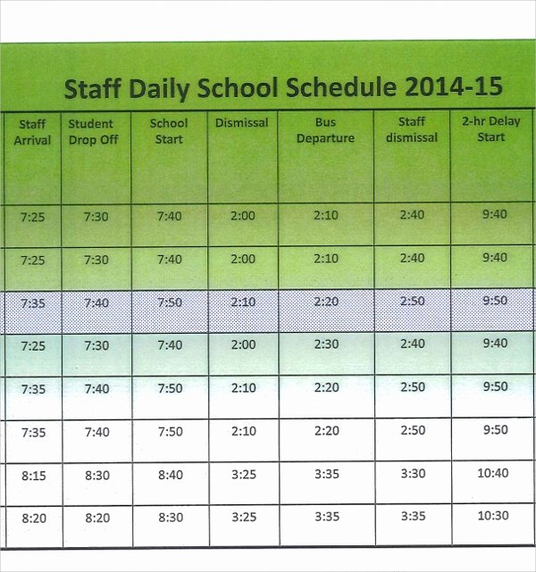 Sample Daily Schedule Template New Sample Printable Daily Schedule Template 17 Free