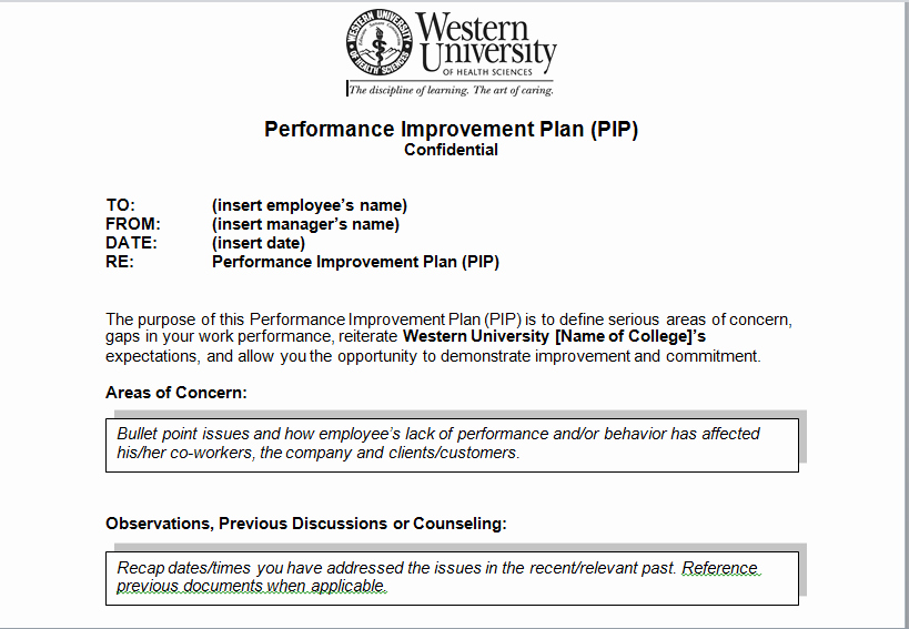 Sample Performance Improvement Plan Template Beautiful Performance Improvement Plan Sample Template Excel Tmp