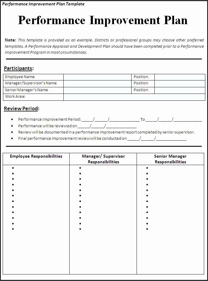 Sample Performance Improvement Plan Template New Business Performance Improvement Plan Template Sample