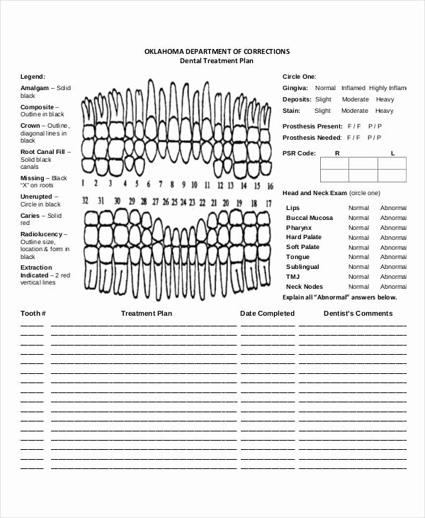 Sample Treatment Plan Template Awesome Free 23 Treatment Plan In Examples Samples Google Docs