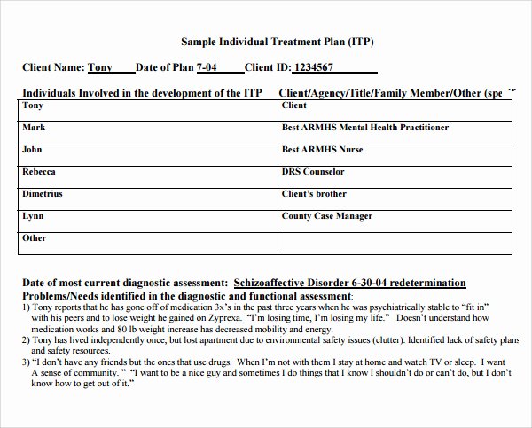 Sample Treatment Plan Template Fresh Treatment Plan Template