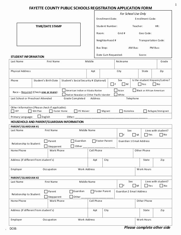 School Registration form Template Beautiful Kindergarten Registration form