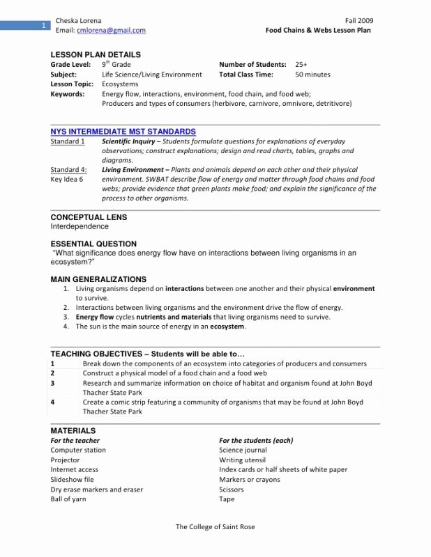 Siop Lesson Plan Template Lovely Siop Lesson Plan Examples