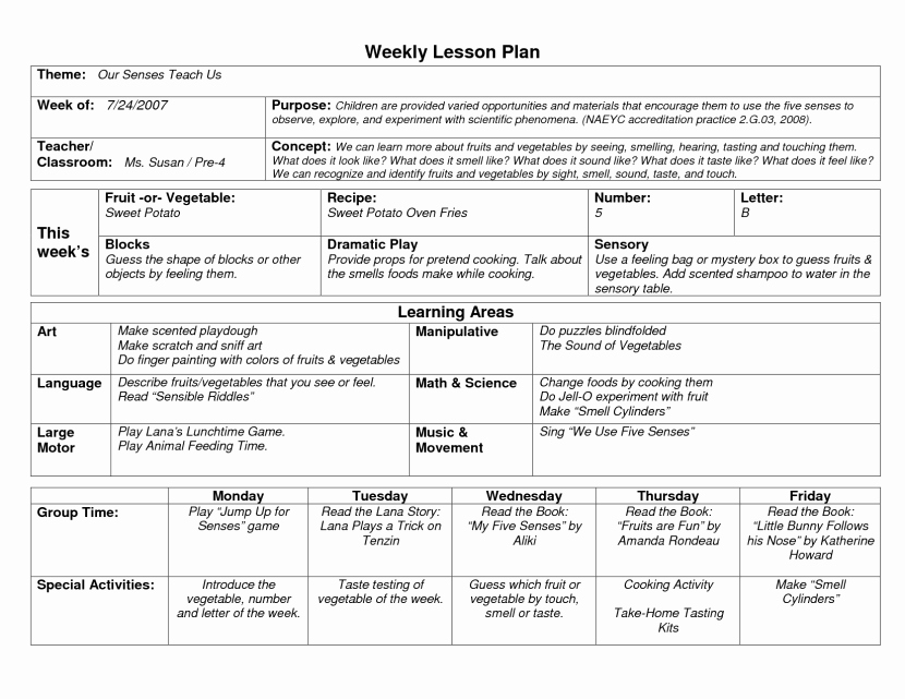 Standards Based Lesson Plan Template Lovely Image Result for Emergent Curriculum Planning Template