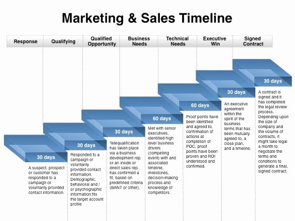 Strategic Plan Timeline Template Unique Marketing Plan Timeline Template