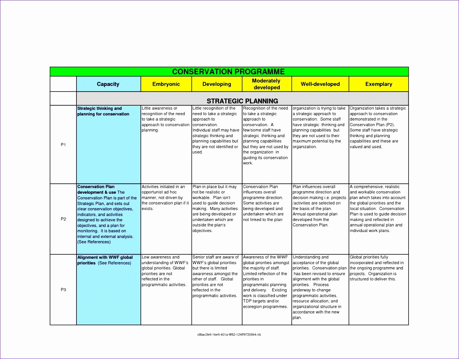 Strategic Planning Template Excel Luxury 9 Action Plan Templates Excel Exceltemplates