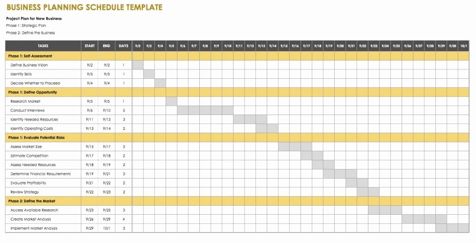 Strategic Planning Template Excel Unique Business Plan Xls Template 5 Year Debt Strategy Projection