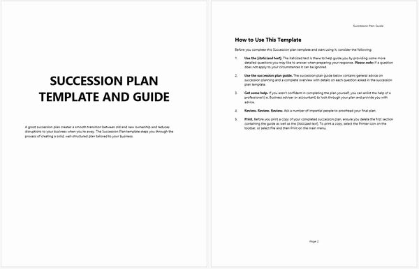 Succession Planning Template for Managers Beautiful Business Succession Planning Template and Guide