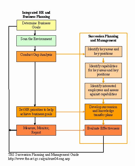 Succession Planning Template for Managers Elegant Archived – Audit Of Departmental Succession Planning