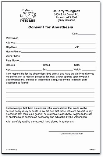 Surgical Consent form Template Lovely Consent forms