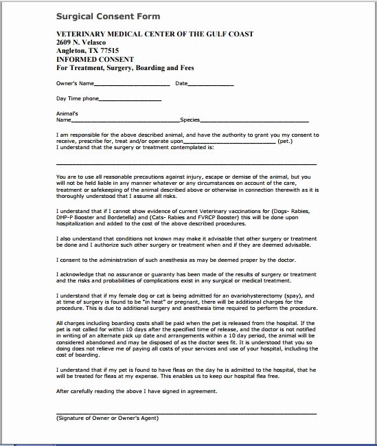 Surgical Consent form Template Luxury Sample Medical Consent form