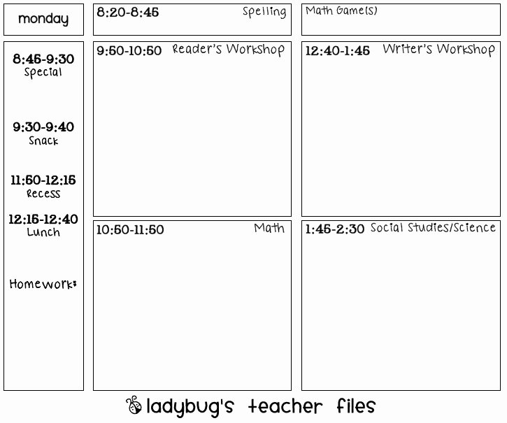 Teacher Day Plan Template Unique 206 Best Lesson Plan Templates Teacher Binders Images On