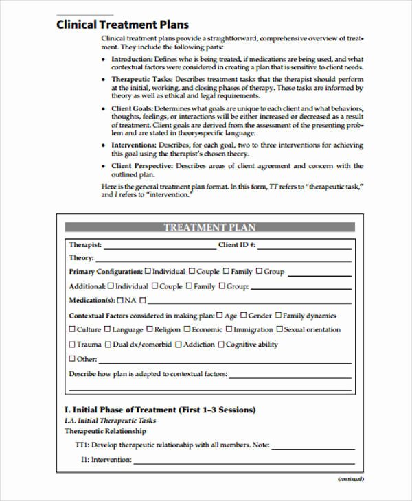 Therapist Treatment Plan Template Elegant 9 Treatment Plan Samples &amp; Templates In Pdf Doc