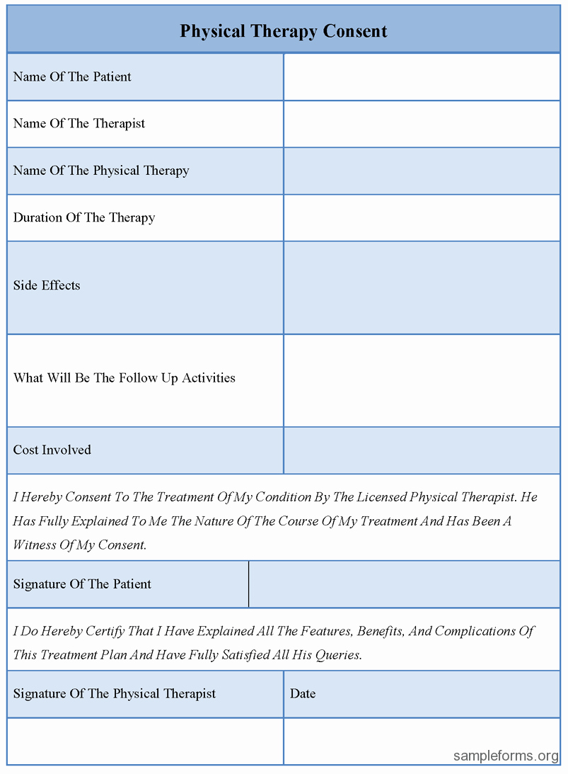 Therapist Treatment Plan Template Elegant Physical therapy Consent forms Sample forms