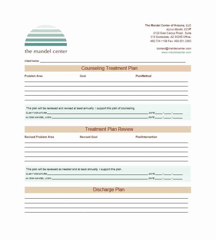 Therapist Treatment Plan Template New 35 Treatment Plan Templates Mental Dental Chiropractic