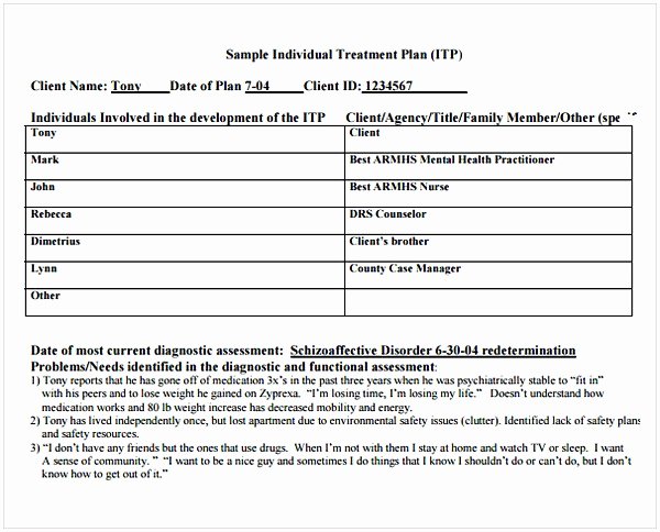 Therapist Treatment Plan Template New Counseling Treatment Plan Template Pdf