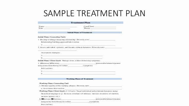 Therapist Treatment Plan Template New Psychotherapy Treatment Plan Template