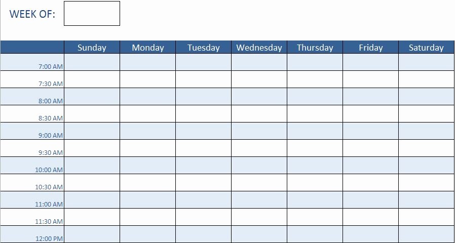 Training Schedule Template Excel Lovely Employee Training Schedule Template In Ms Excel Excel