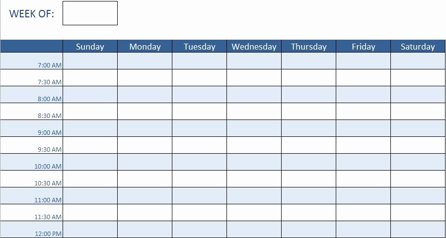 Training Schedule Template Excel Lovely Employee Training Schedule Template In Ms Excel Excel