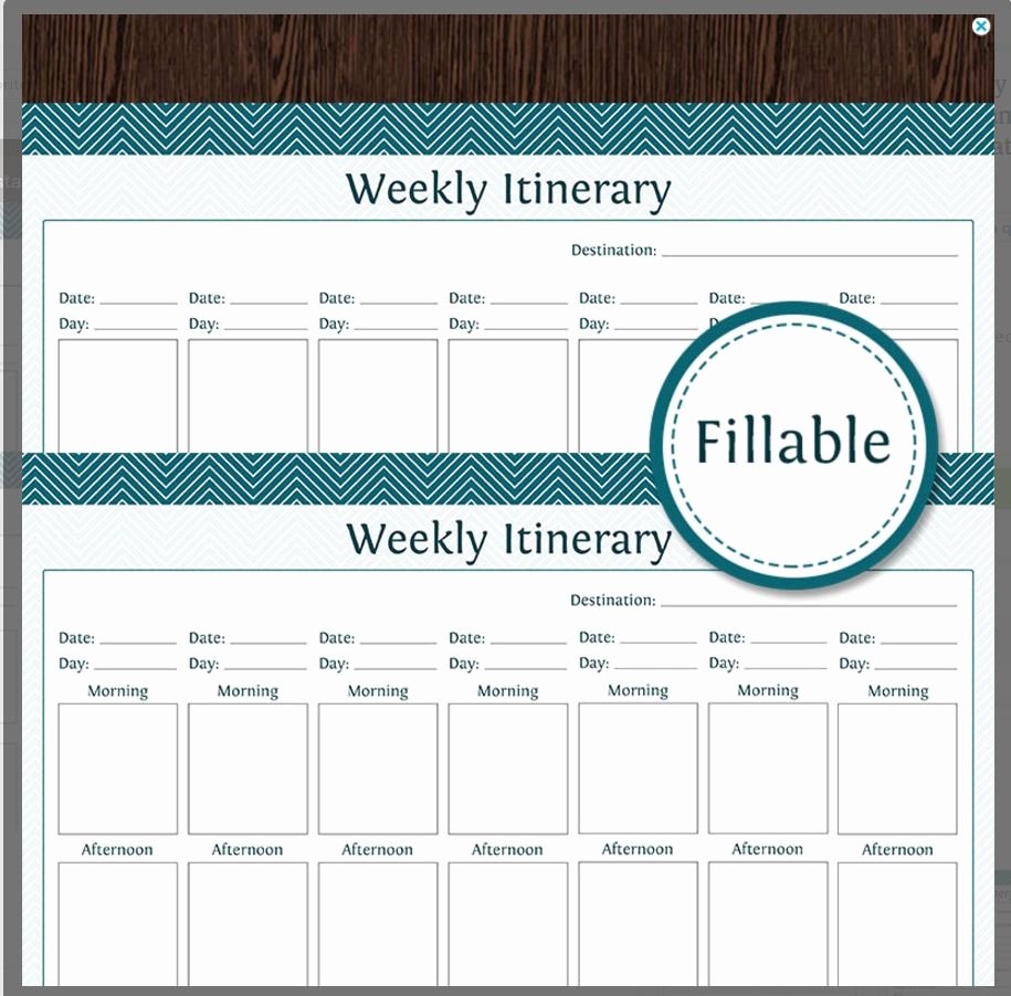 Travel Itinerary Planner Template Inspirational 10 Itinerary Template Examples