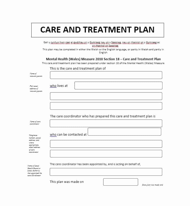Treatment Plan Template Mental Health Awesome 35 Treatment Plan Templates Mental Dental Chiropractic
