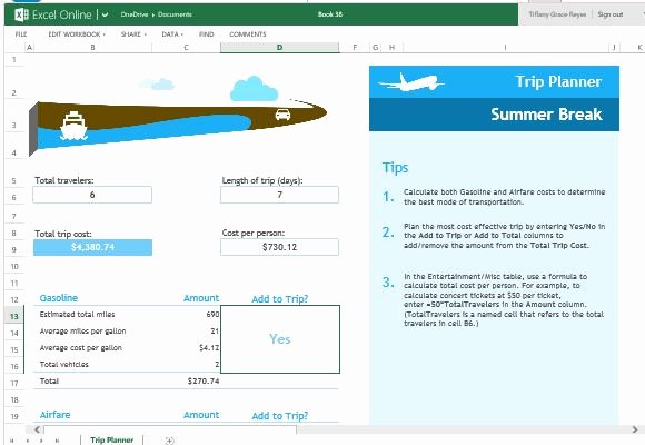 Trip Planner Template Excel Luxury Trip Planner Template for Excel Line