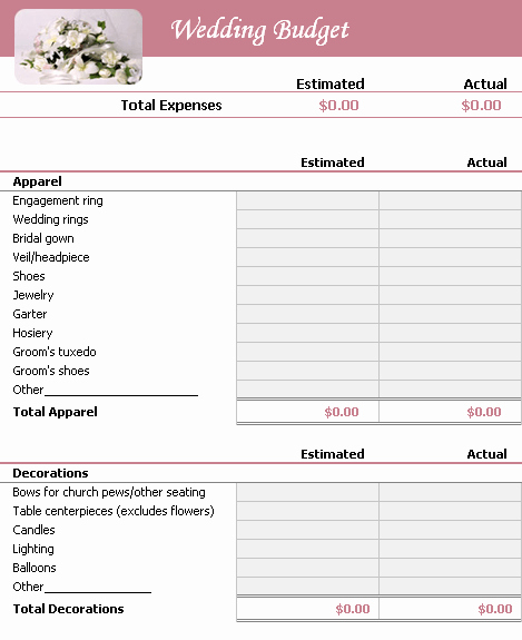 Wedding Budget Planner Template Lovely Bud Plan Template