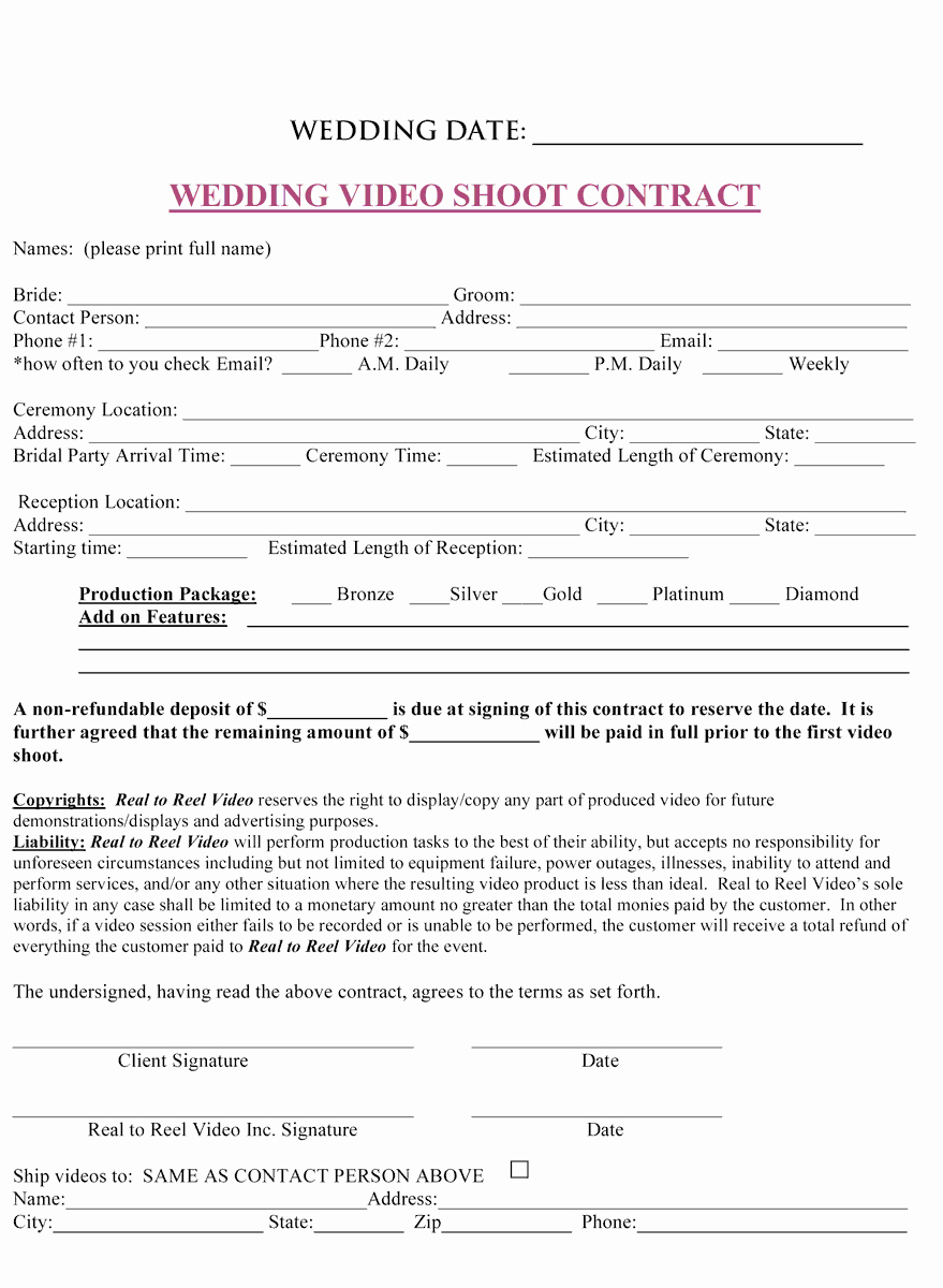 Wedding Planner Contract Template Free Fresh Wedding Planner Wedding Planner Contract Pdf