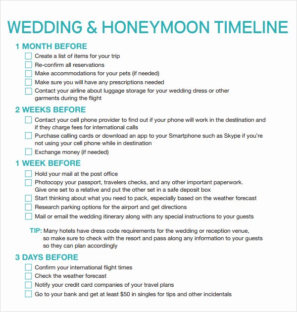 Wedding Planner Timeline Template Fresh Free 5 Sample Wedding Timeline Templates In Pdf Word