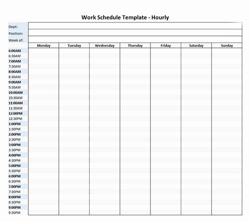 Week Schedule Template Excel New Excel Hourly Schedule Template