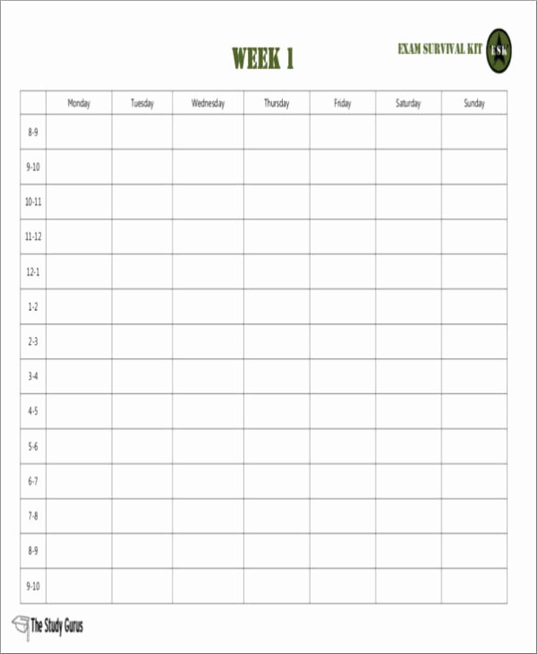 Weekly Study Schedule Template New Free 15 Study Schedule Samples &amp; Templates In Pdf