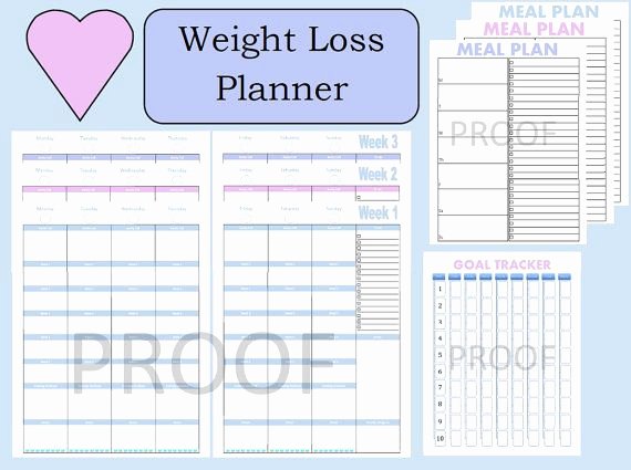 Weight Loss Meal Planner Template Awesome 17 Best Images About 21 Day Fix Printable Sheets On