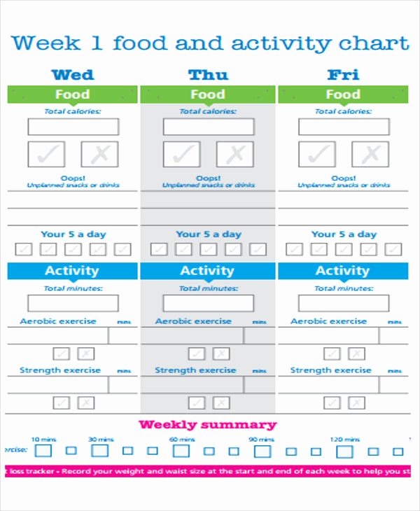 Weight Loss Meal Planner Template Lovely 10 Diet Plan Templates Free Sample Example format